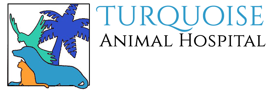 Turquoise Animal Hospital